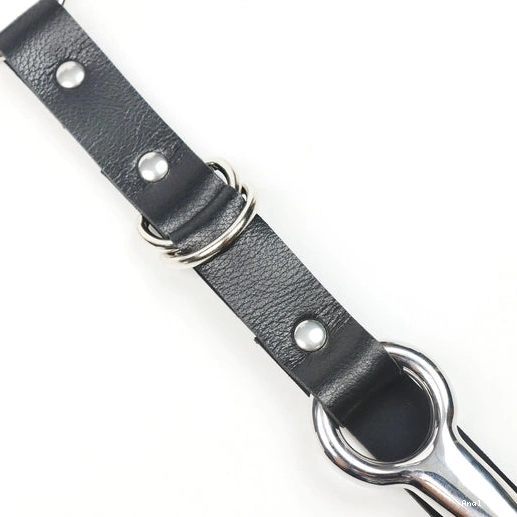 Anal 5853 Hook and with Leash EverydayUse Kinky Collar 1018